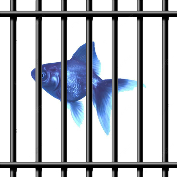 1_Sem_Título_202410201444574.png