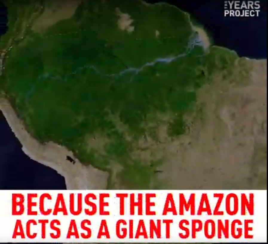 2019-01-06_21_46_36-theyearsproject.com_video_jair-bolsonaro-enemy-of-the-amazon__.png