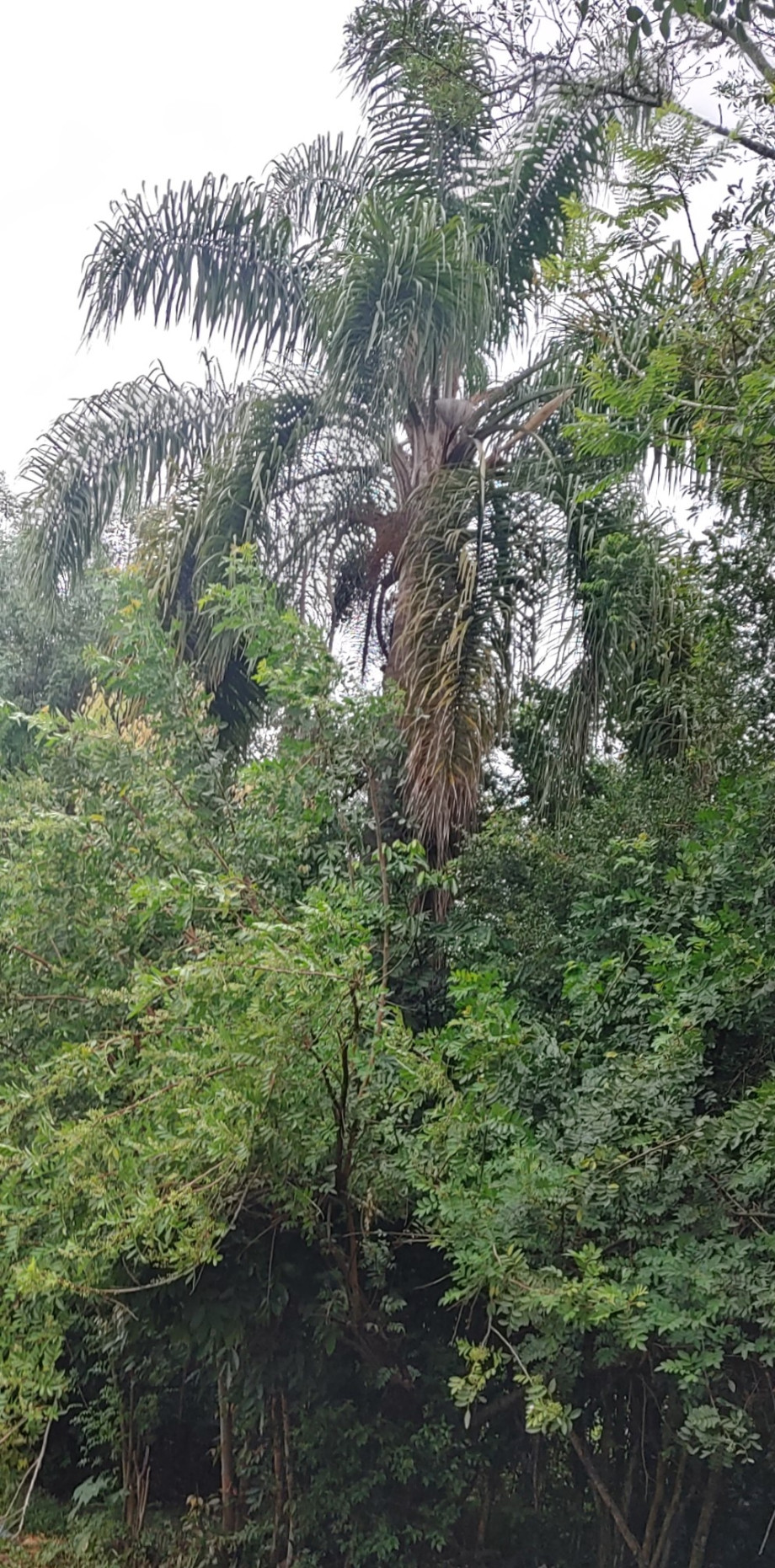 20250401_090042_HDR_2.jpg